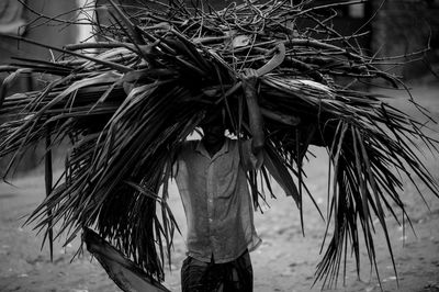 Man carrying branches on head