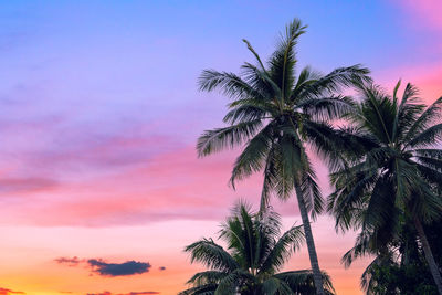 Low angle view of palm tree against romantic sky