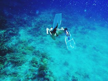 Low section of person wearing diving flippers swimming underwater 