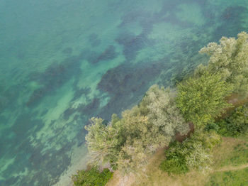 High angle view of trees by sea against sky