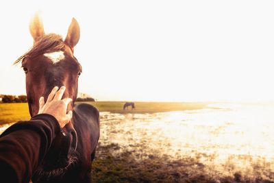 Midsection of man hand against sea during sunset