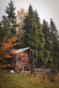 Trees by old house in forest against sky during autumn