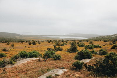 Scenic view of cloudy sky