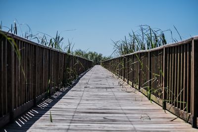 Boardwalk in iberá national park, corrientes, argentina.