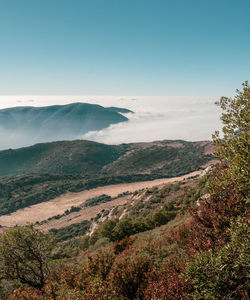 Scenic view of landscape against clear sky