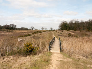 Footpath amidst field against sky