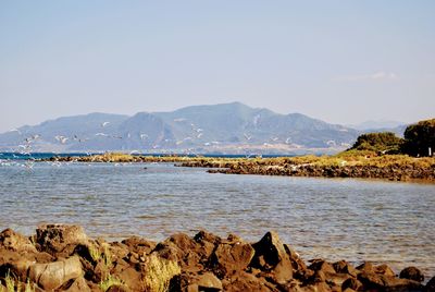 Scenic view of sea against clear sky