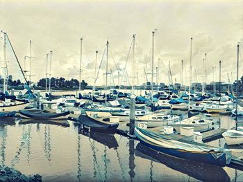 Sailboats moored at harbor against sky