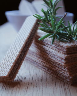 Close-up of food on table