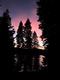 Silhouette trees in forest against sky at sunset