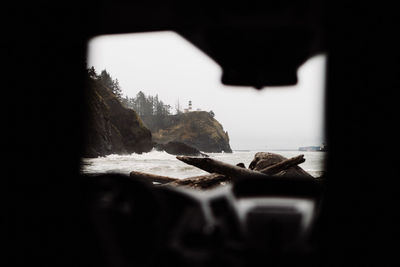 Close-up of animal on rock against window