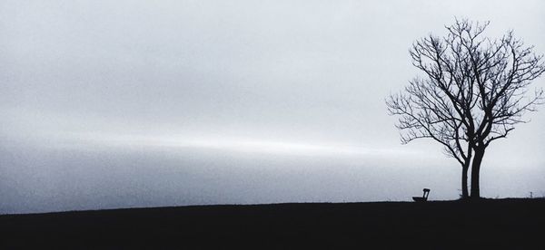 Silhouette bare tree on field against sky