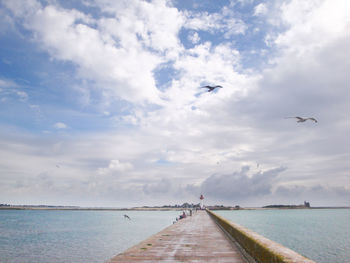 Seagulls flying over sea against sky