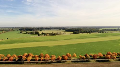 Scenic view of farm against sky