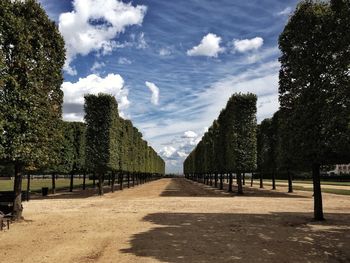 Empty road with trees in background