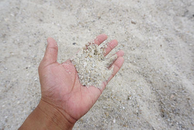 Close-up of hand holding sand