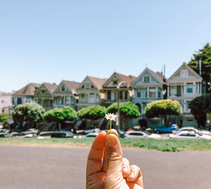 Person holding flower by pained ladies buildings in san francisco against sky