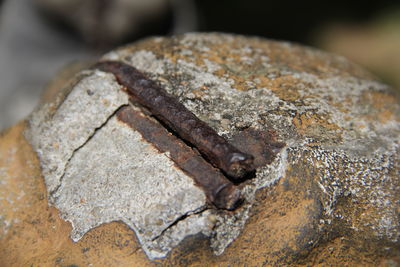 Close-up of rusty metal on rock