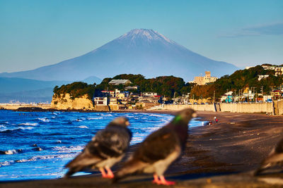 Scenic view of sea with snowcapped mountain against sky during sunrise