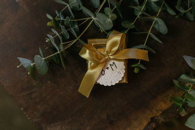 Close-up of gift and plant on table