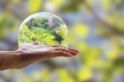 Hand of man hold bubble soap suds on palm isolated on blurred background with clipping path.