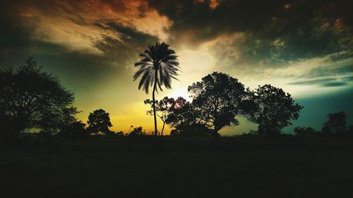 Silhouette trees on field against sky at sunset