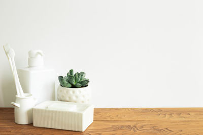 Close-up of potted plant on table at home