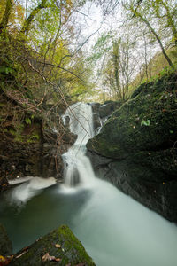 Scenic view of waterfall in forest