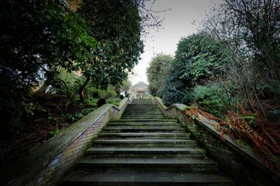 Steps amidst trees