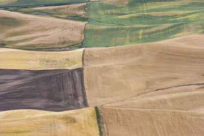 Full frame shot of agricultural land