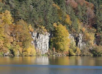 Scenic view of lake in forest during autumn