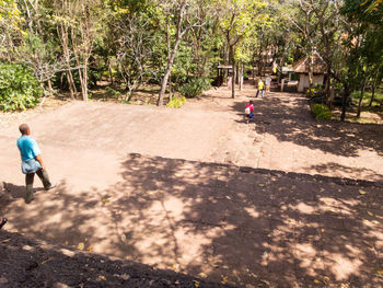 Rear view of boy on plants against trees