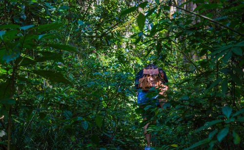 Woman in forest