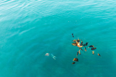 Full frame shot of sea