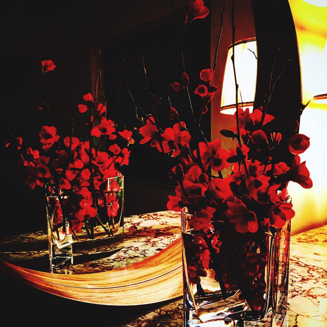 flower, indoors, red, decoration, potted plant, vase, table, illuminated, home interior, night, close-up, house, plant, flower pot, no people, wood - material, lantern, built structure, lighting equipment, wall - building feature