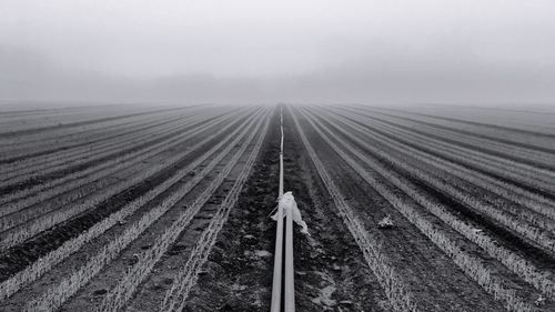 Road passing through field in foggy weather