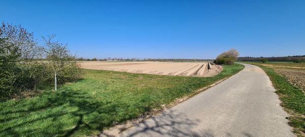 Scenic view of agricultural field against clear blue sky