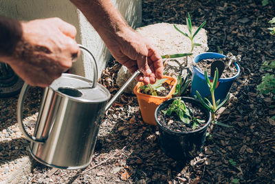 Low section of man watering plant outdoors