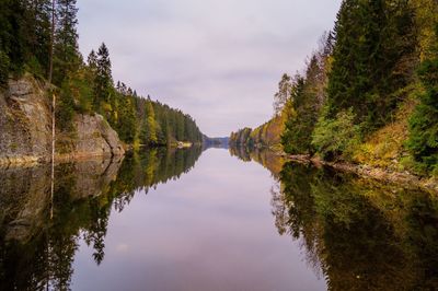 Scenic view of lake by trees against sky