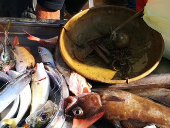 High angle view of fish for sale in market