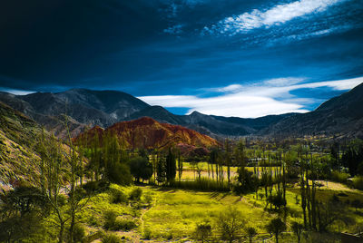 Scenic view of landscape against sky at night