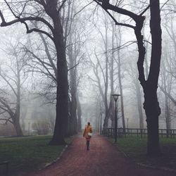 People walking on footpath