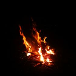 Close-up of bonfire at night