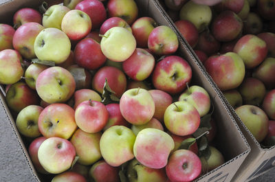 High angle view of apples for sale in market