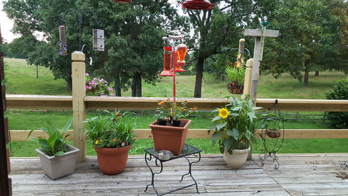 Empty chairs in backyard