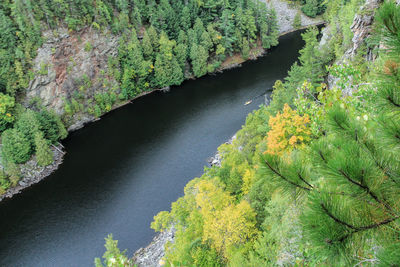 High angle view of barron river in algonquin provincial park