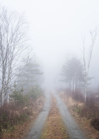 Scenic view of field against sky during foggy weather