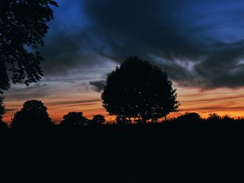 Silhouette trees on field against sky at sunset
