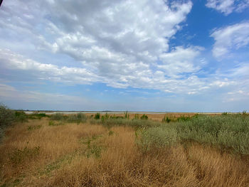 Scenic view of field against sky