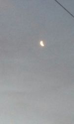 Scenic view of green landscape